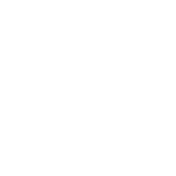 linked-in icon